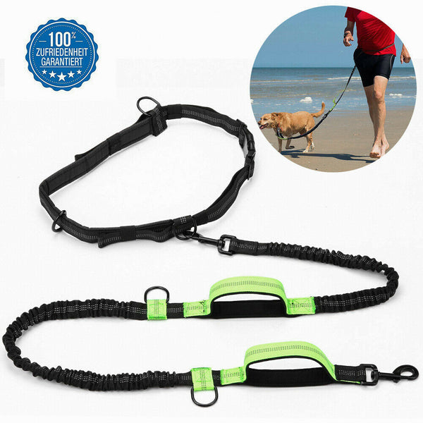 Retractable Hands Free Dog Leash with Dual Bungees for up to 150